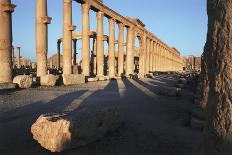 Syria, Palmyra, Colonnaded Street, the Decumanus-Steve Roxbury-Mounted Photographic Print