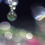 Abstract of Dew Drops on Flowers-Steve Satushek-Photographic Print