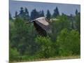 Wood Mount