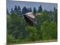 Wood Mount