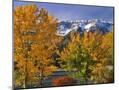 Wood Mount