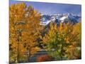 Wood Mount