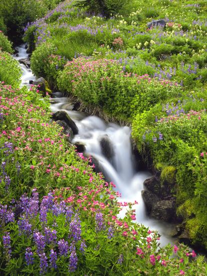 Premium Photographic Print, , large