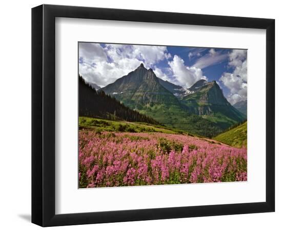 Premium Photographic Print, , large