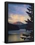 Essential Black