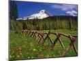 Wood Mount