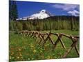 Wood Mount