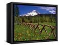 Canvas Black