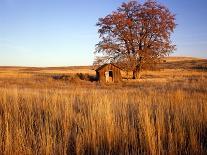 Summer Home Surrounded by Fall Colors, Wyman Lake, Maine, USA-Steve Terrill-Photographic Print