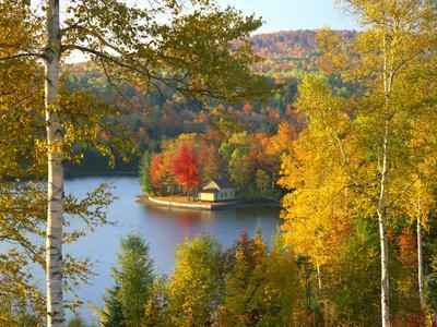 Summer Home Surrounded by Fall Colors, Wyman Lake, Maine, USA