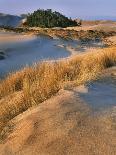 USA, Oregon, Dunes National Recreation Area. Landscape of Sand Dunes-Steve Terrill-Photographic Print