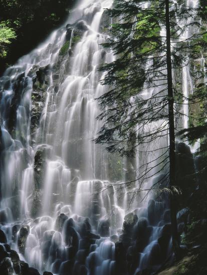 Premium Photographic Print, , large