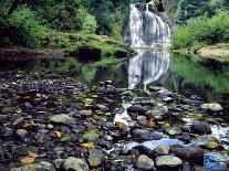USA, Oregon, Young's River Falls. Waterfall Landscape-Steve Terrill-Photographic Print