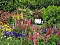 White Chair in Flower Garden-Steve Terrill-Photographic Print