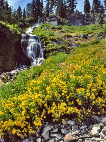 Premium Photographic Print, , large