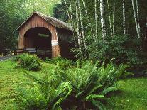 Yachats River Covered Bridge in Siuslaw National Forest, North Fork, Oregon, USA-Steve Terrill-Photographic Print