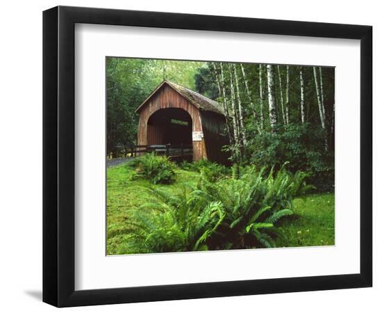 Premium Photographic Print, , large