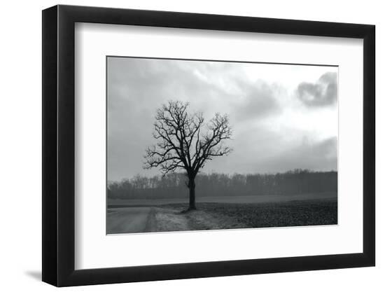 Photo, , large