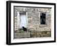 Black Frame