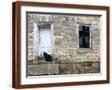 Brown Frame