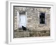 White Frame
