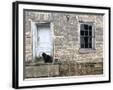 Chelsea Black