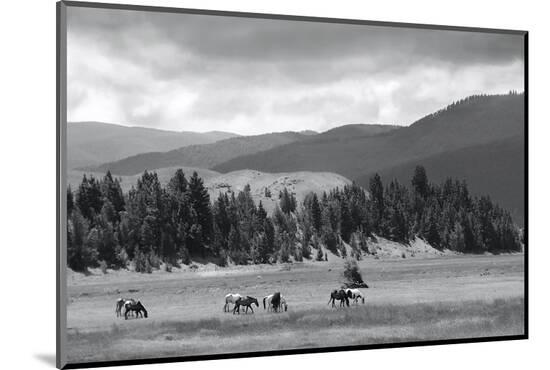 Photo, , large