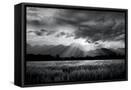 Canvas Black