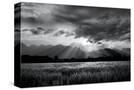 Stretched Canvas