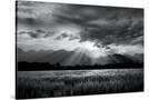 Stretched Canvas