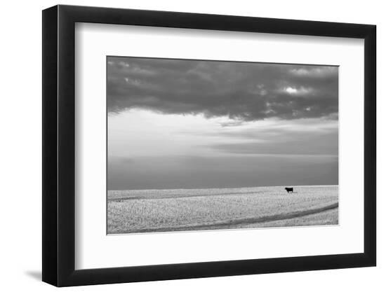 Photo, , large