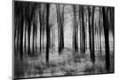 Wood Mount