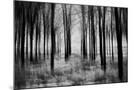 Wood Mount
