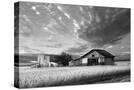 Stretched Canvas