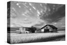 Stretched Canvas