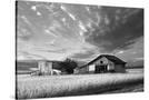 Stretched Canvas