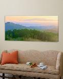 Sunrise Boardwalk-Steve Vaughn-Stretched Canvas