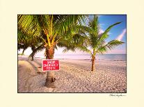 Sunrise Boardwalk-Steve Vaughn-Stretched Canvas