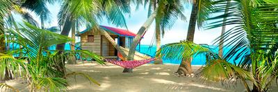 Twin Hammocks-Steve Vaughn-Photographic Print