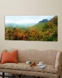 Brasstown Valley Overlook-Steve Vaughn-Loft Art