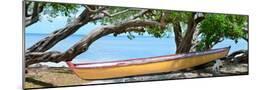 Wood Mount