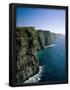 Essential Black