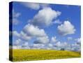 Stretched Canvas
