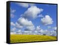 Canvas Black