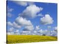 Stretched Canvas