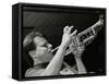 Steve Waterman Playing the Trumpet at the Fairway, Welwyn Garden City, Hertfordshire, 10 May 1992-Denis Williams-Framed Stretched Canvas