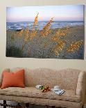 Beach Scene with Sea Oats-Steve Winter-Framed Photographic Print