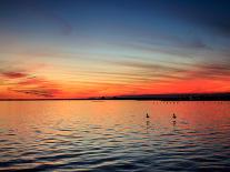 Pensacola Florida Sunset with Water Fountain and Sailboats on Background-Steven D Sepulveda-Premium Photographic Print