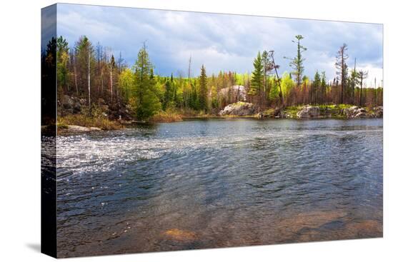 Stretched Canvas Print, , large