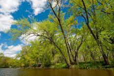 Temperance River, Lake Superior-Steven Gaertner-Stretched Canvas